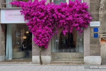 Zagreb
