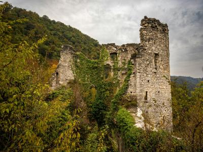Explore the historic Samobor Castle ruins surrounded by vibrant foliage in Croatia, offering a glimpse into the past.