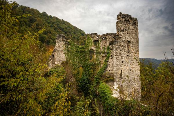 Samobor Castle