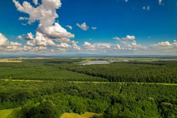 Nature Photography Tours
