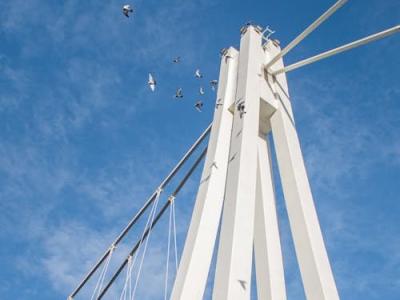 Free Modern white bridge structure with flying birds in Osijek, Croatia. Stock Photo