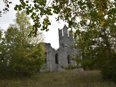 An old stone building sitting in the middle of a forest