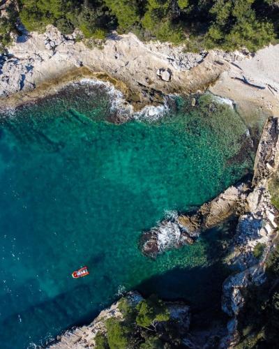 aerial view of people swimming on beach during daytime
