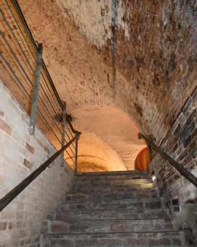 a set of stairs leading up to a tunnel