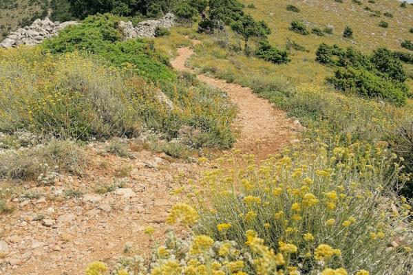 Hiking and Biking Trails in Korenica