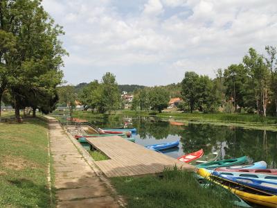 a dock with boats on it by a body of water