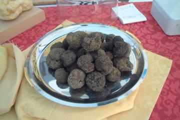 Truffles black Croatia