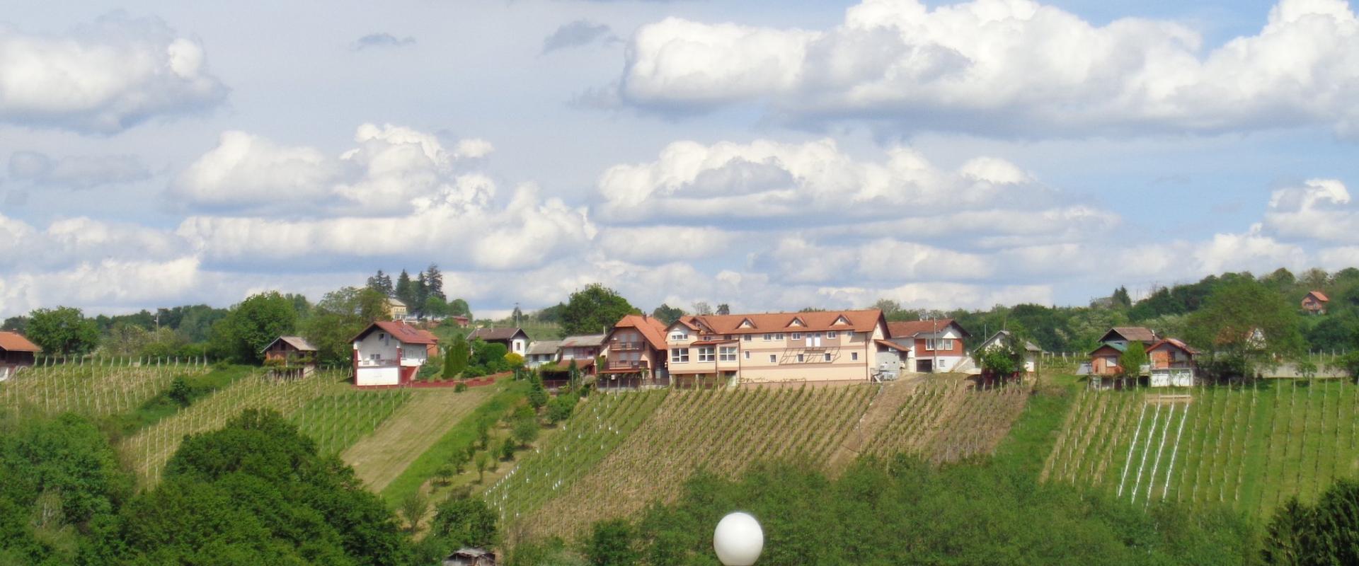 Međimurje Vineyards