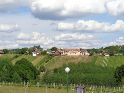 Vugrišinec - vinogradi