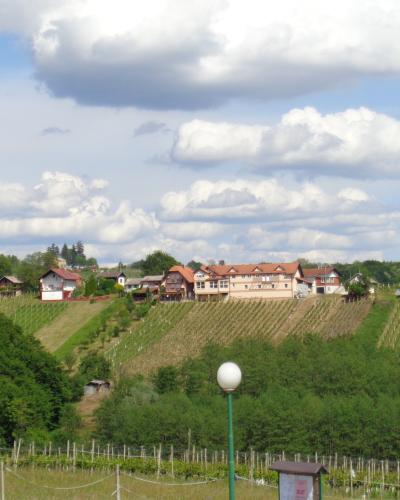 Vugrišinec - vinogradi