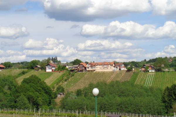 Međimurje Vineyards