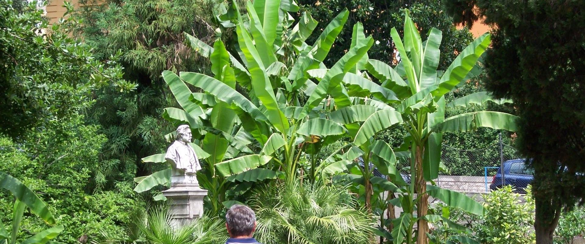 Park Angiolina