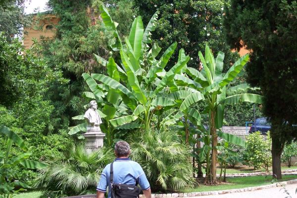 Park Angiolina