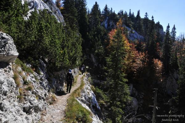 Premuzic Trail