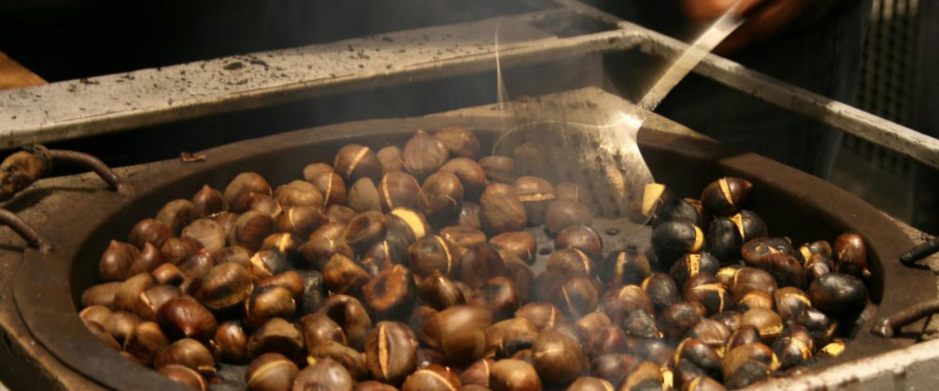 Local Food Culture