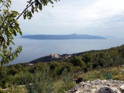 Grabrova, Moščenice Olive grove garden - panoramio