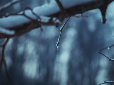 Park prirode Papuk (Phantography) 12