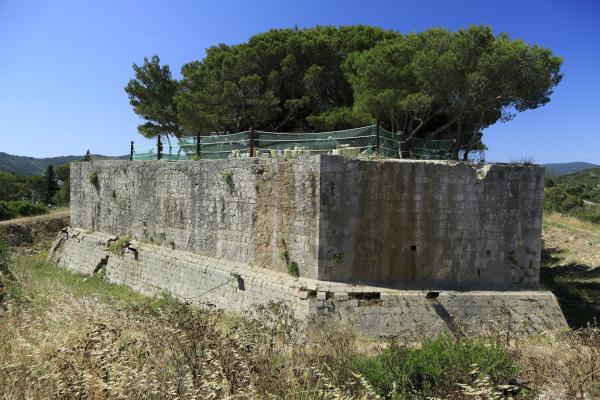 Fort George (Fortica)