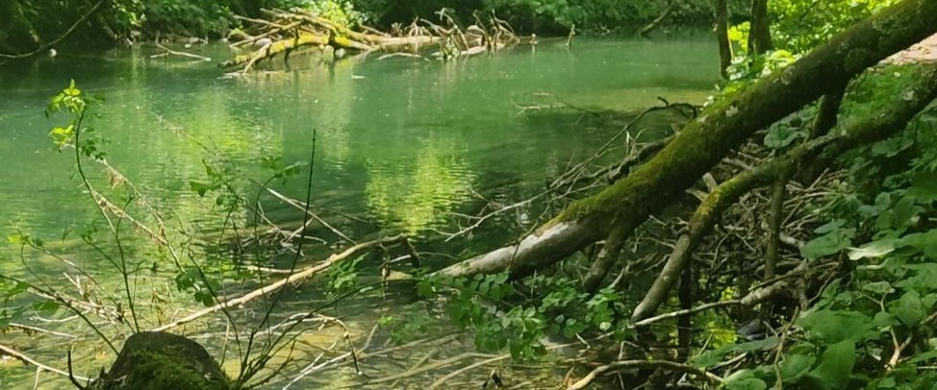 Kamačnik