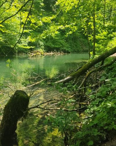 Kamačnik1