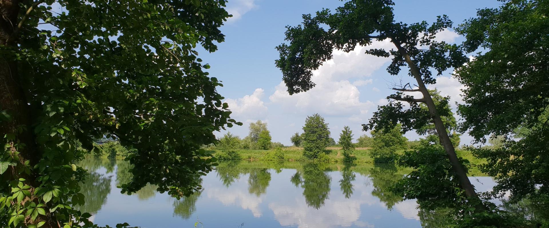 Bedekovčina