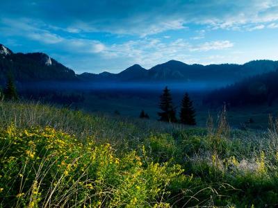 Veliki-Lubenovac Uvala NatPark-NVelebit Dinarides Croatia 5