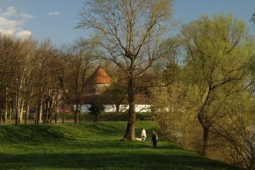Sisak