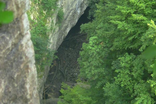 Pazin Cave