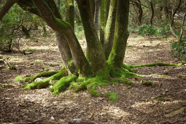 Brijuni National Park