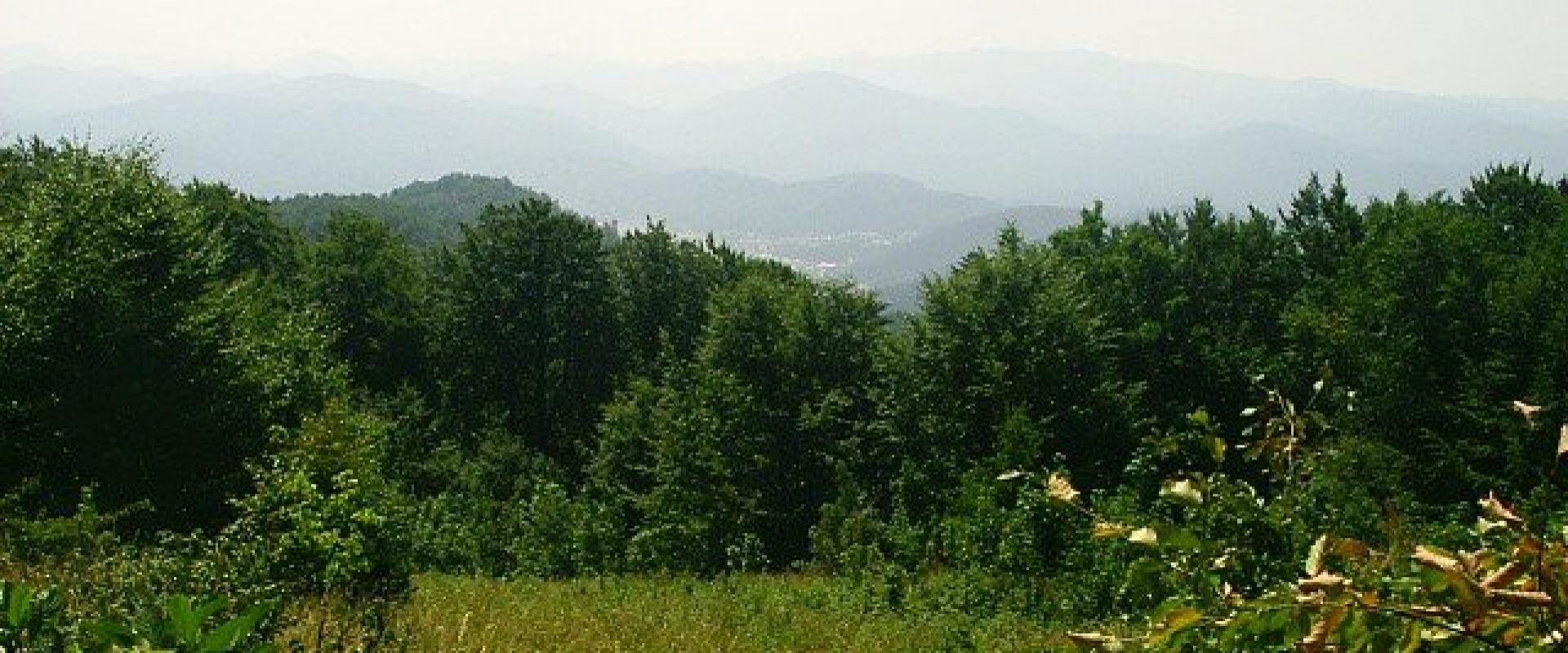 Drgomalj