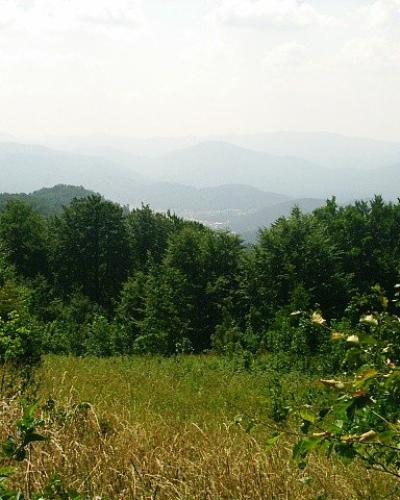 Pohled na zamlzeny Gorski kotar z Velikeho Drgomalje (1154m)