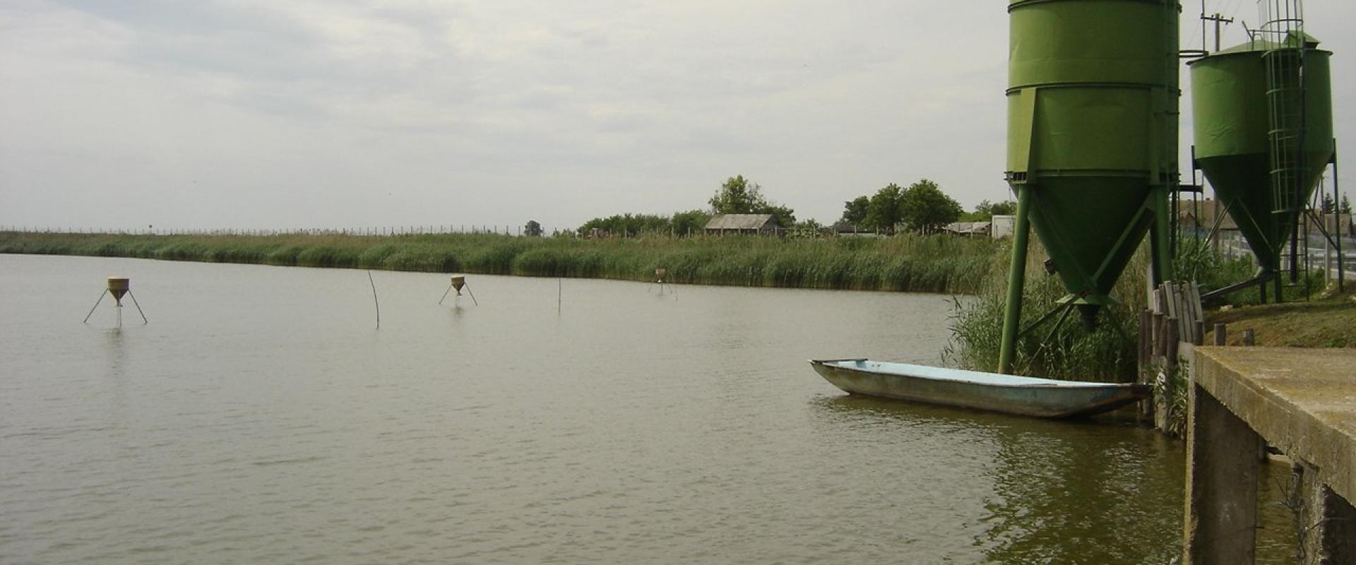 Popovac