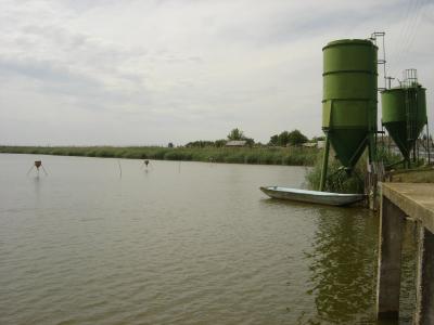 Popovac