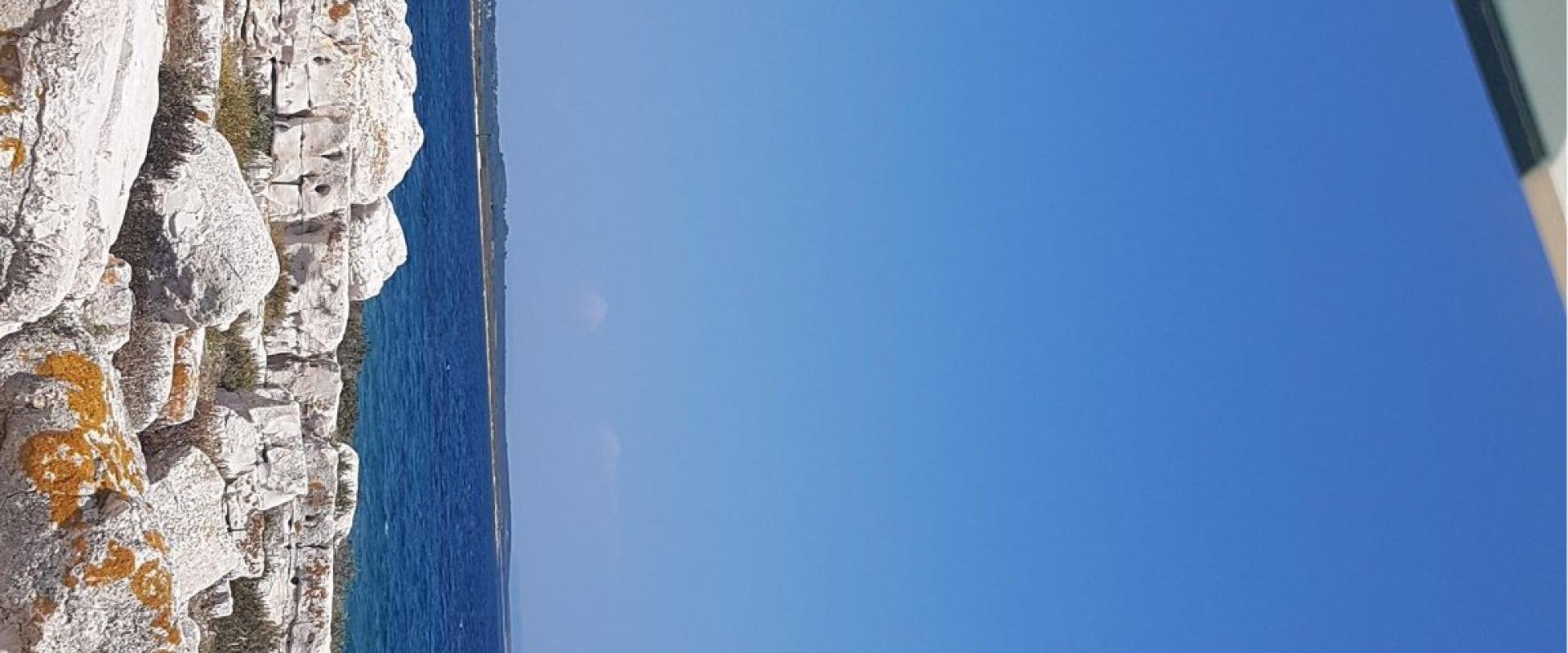 Medulin