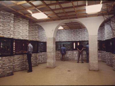 THE AQUARIUM AT THE ROVENJ BRANCH OF THE RUDER BOSKOVIC INSTITUTE - NARA - 549350