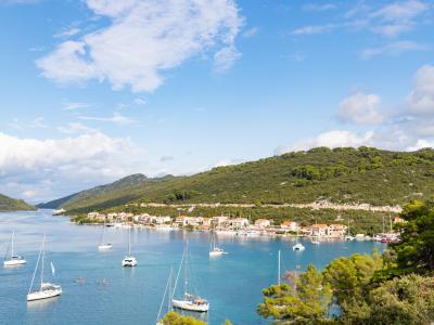 Yachts anchorage in Polace on Mljet island, Croatia (48738897976)