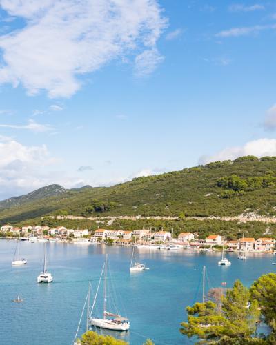 Yachts anchorage in Polace on Mljet island, Croatia (48738897976)