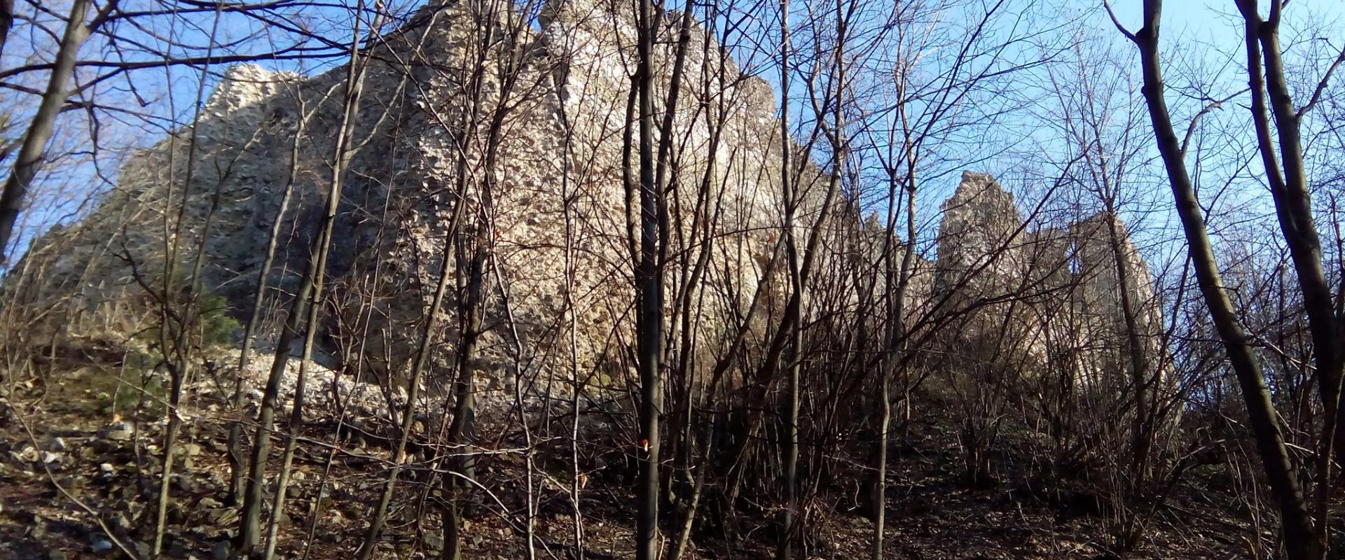 Orahovica