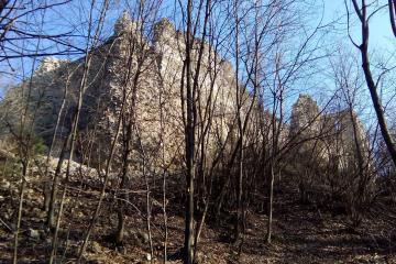 Orahovica