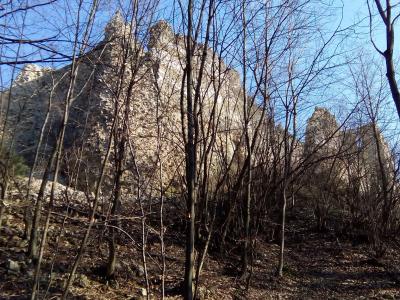 Orahovica