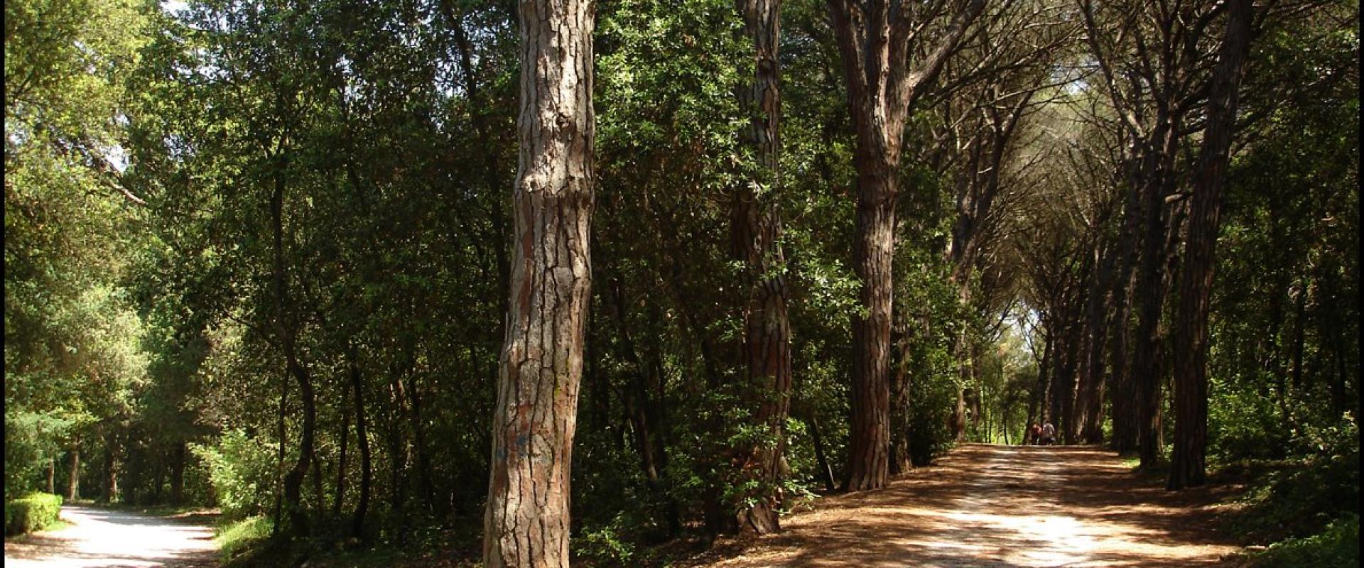 Punta Corrente (Golden Cape) Park