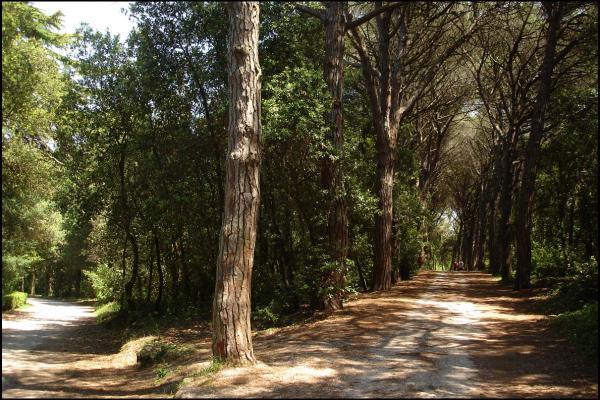 Punta Corrente (Golden Cape) Park