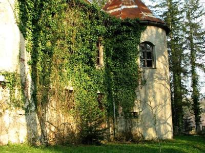 Dvorac Severin na Kupi