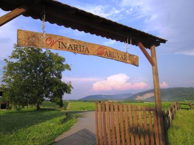 Daruvar vinarija