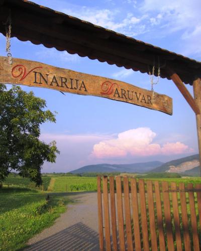 Daruvar vinarija