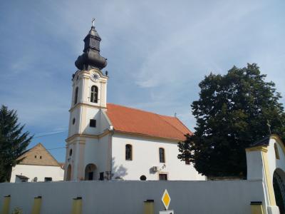 Kneževi Vinogradi