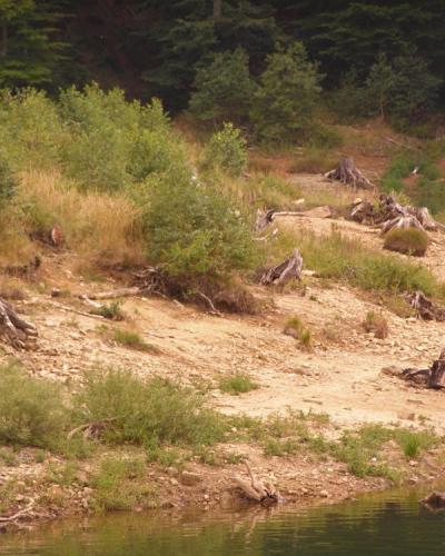 Jezero Lepenica u Fužinama - panoramio