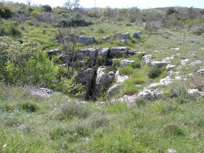 Monkodonja (13)