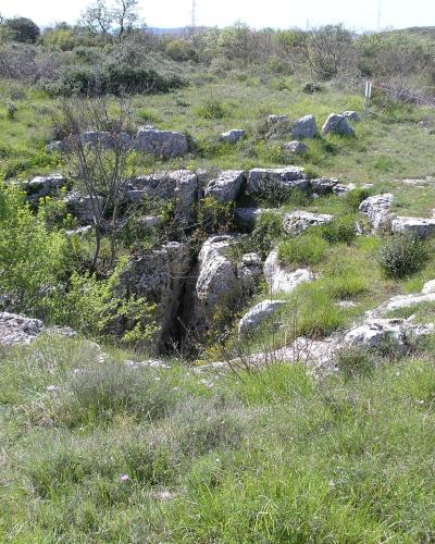 Monkodonja (13)