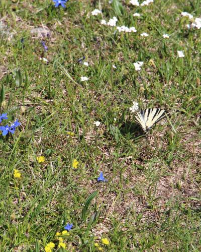 Nacionalni park Sjeverni Velebit 6
